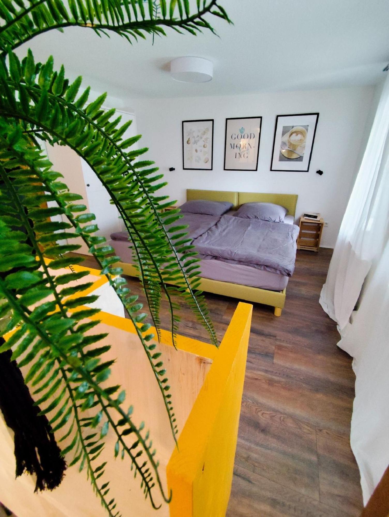 Zur Alten Korbmacherei Apartment
